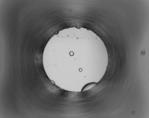 X0000101660096200808071031