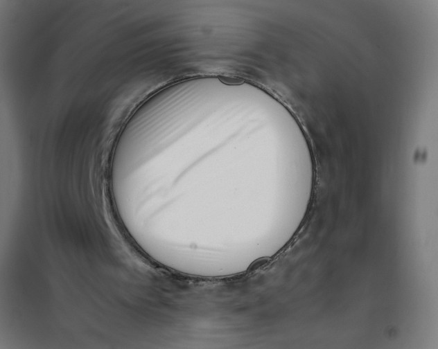 X0000101660097200808071030