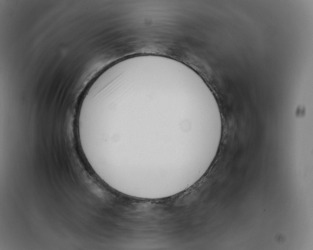 X0000101660098200808071030