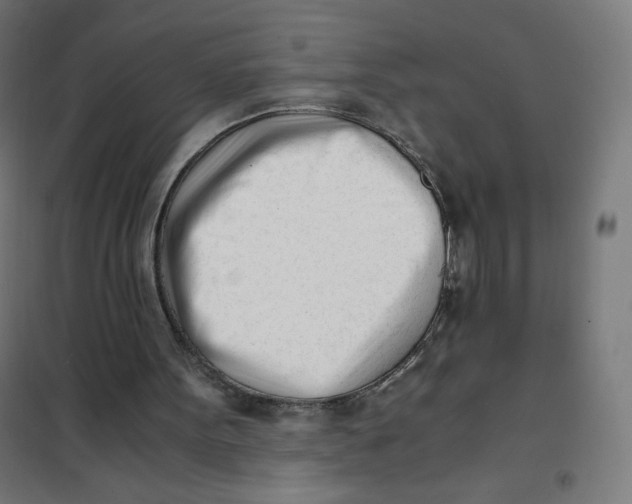 X0000101660099200808071030