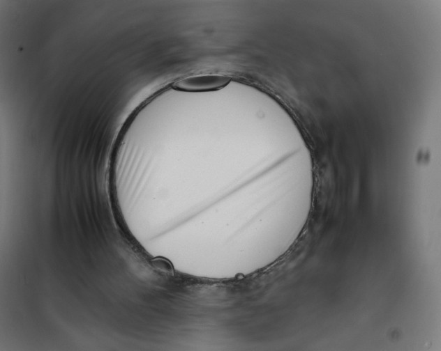X0000101660100200808071030