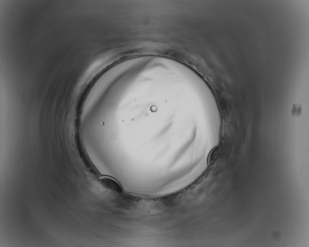 X0000101660101200808071030