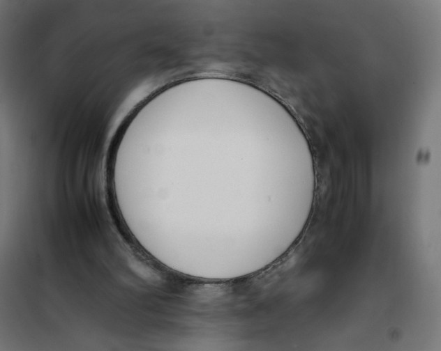 X0000101660102200808071030