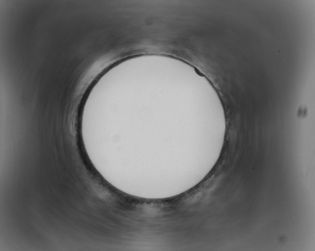 X0000101660103200808071030