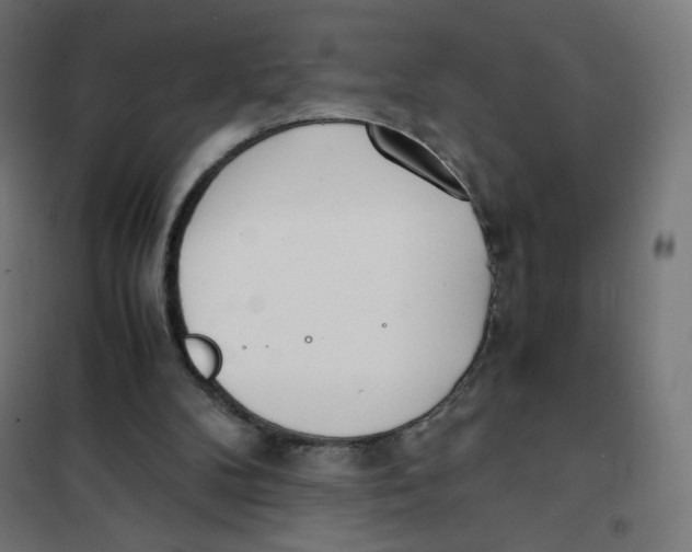 X0000101660104200808071030
