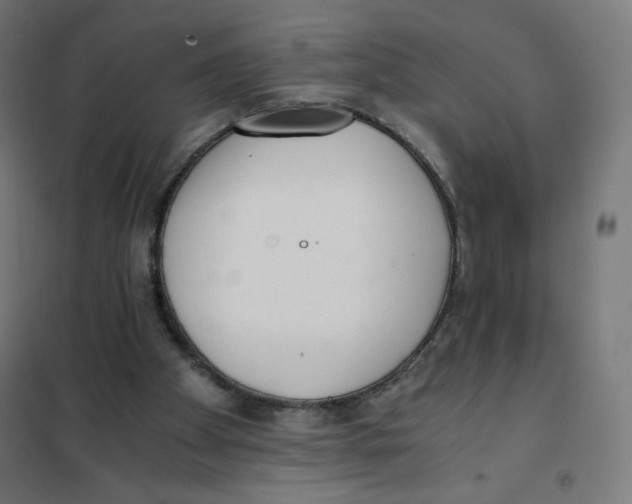 X0000101660105200808071030