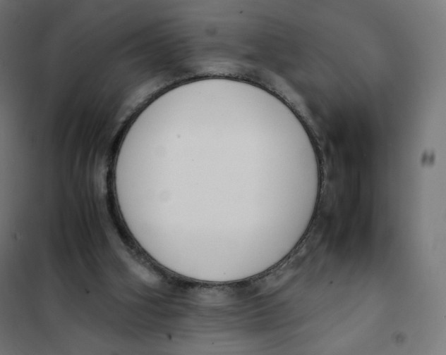 X0000101660106200808071030
