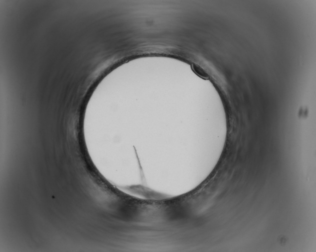 X0000101660107200808071030