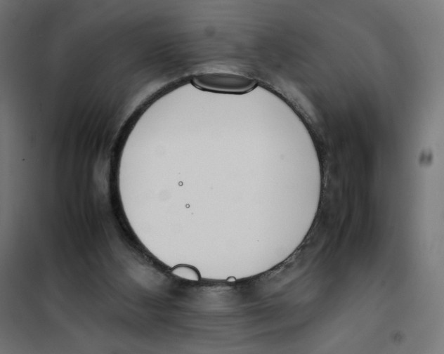 X0000101660108200808071030