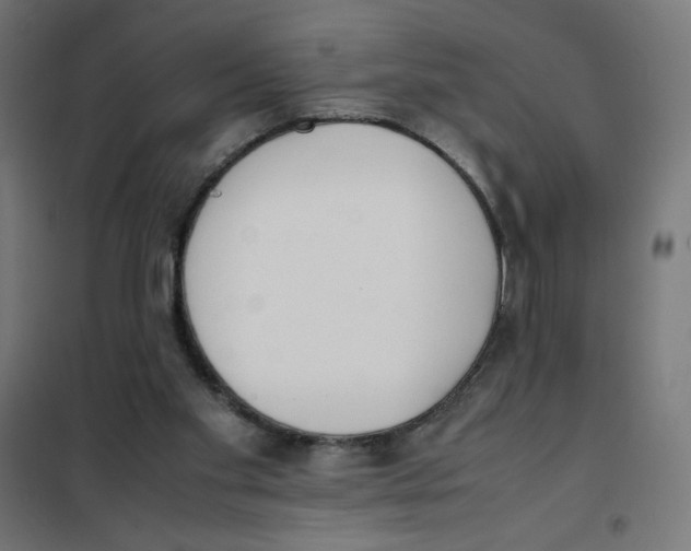 X0000101660109200808071030