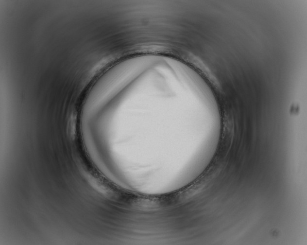 X0000101660110200808071030