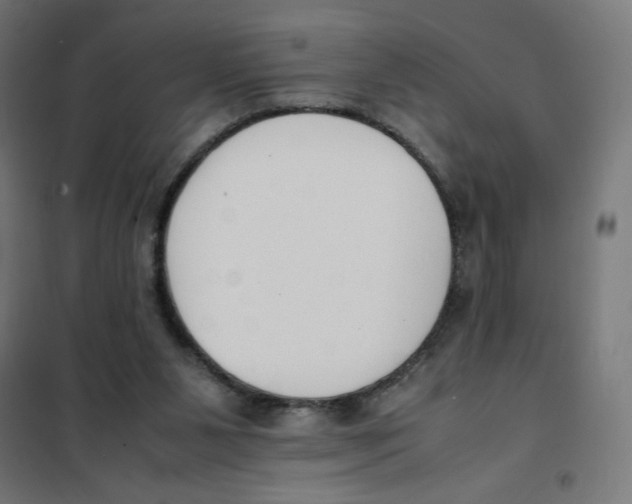 X0000101660111200808071030