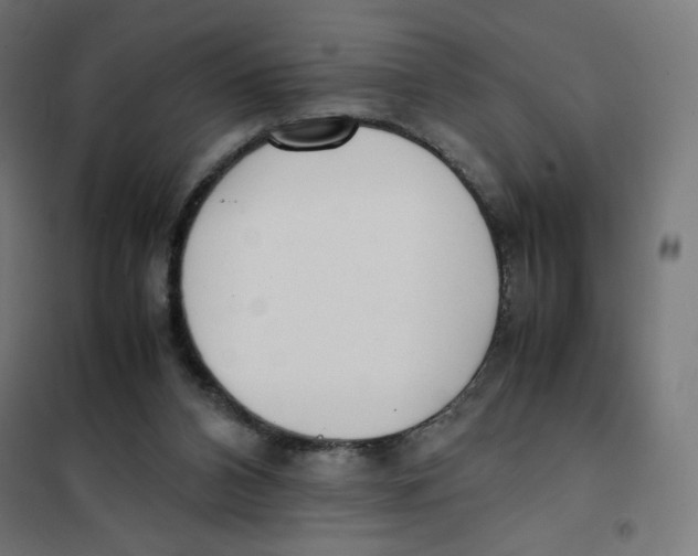 X0000101660112200808071030