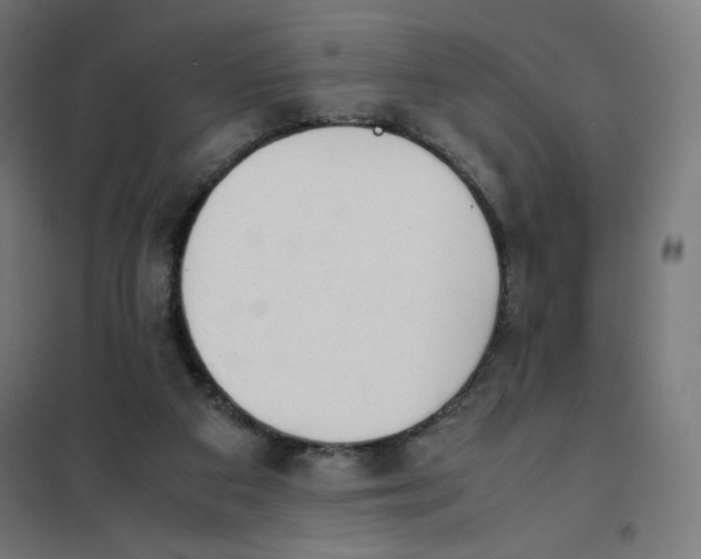 X0000101660113200808071030