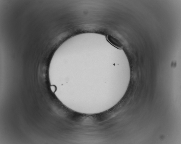 X0000101660115200808071030