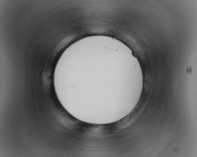 X0000101660116200808071030