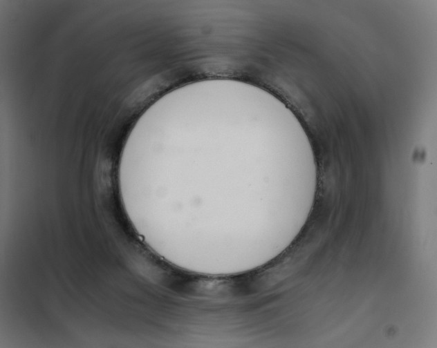 X0000101660117200808071030