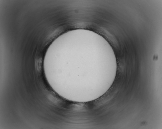 X0000101660118200808071030