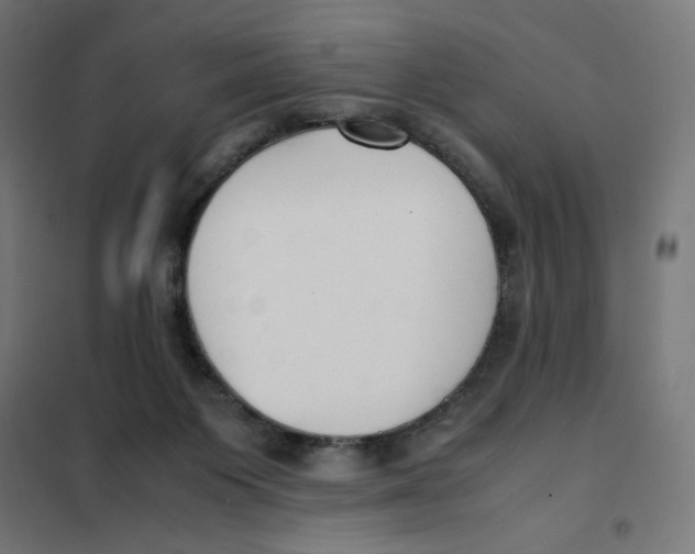 X0000101660119200808071030