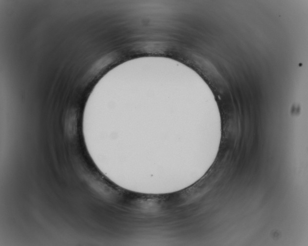 X0000101660120200808071030