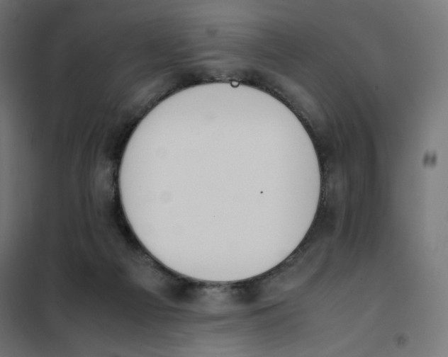 X0000101660121200808071030
