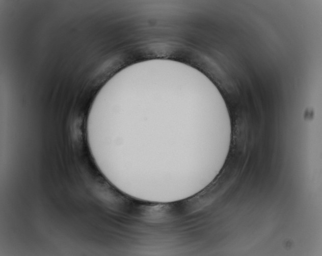 X0000101660122200808071030