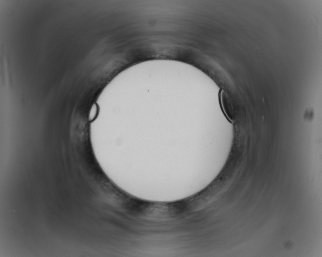 X0000101660123200808071030