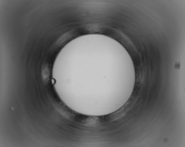 X0000101660124200808071030