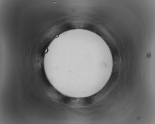 X0000101660125200808071030