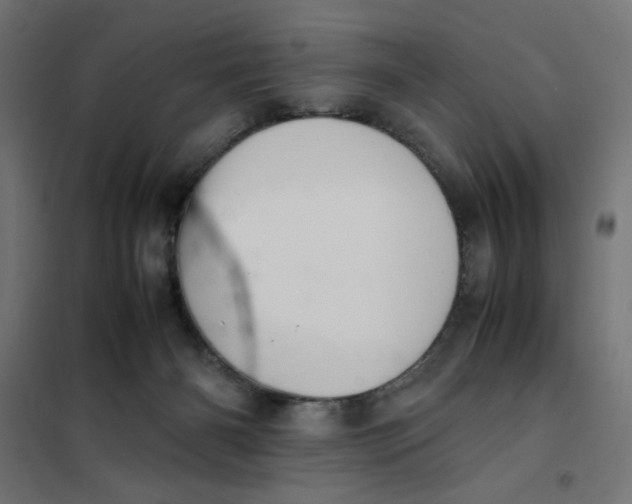 X0000101660126200808071030