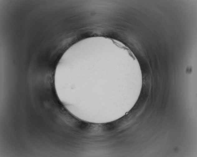 X0000101660127200808071030