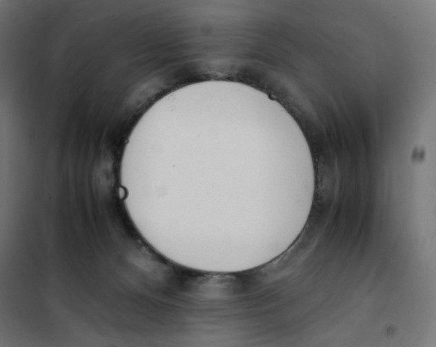 X0000101660128200808071030