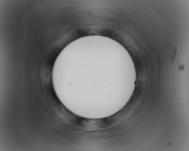 X0000101660129200808071030