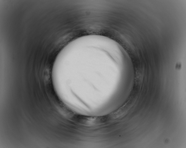 X0000101660130200808071030
