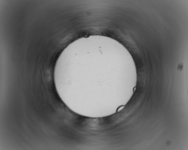 X0000101660131200808071030