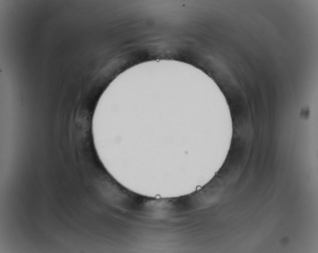 X0000101660133200808071030