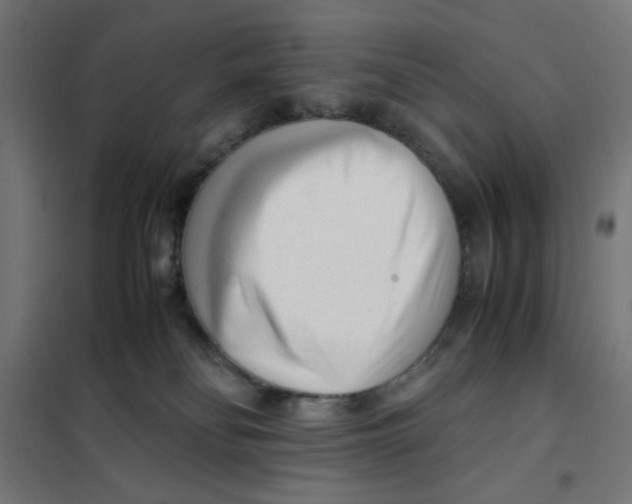 X0000101660134200808071030