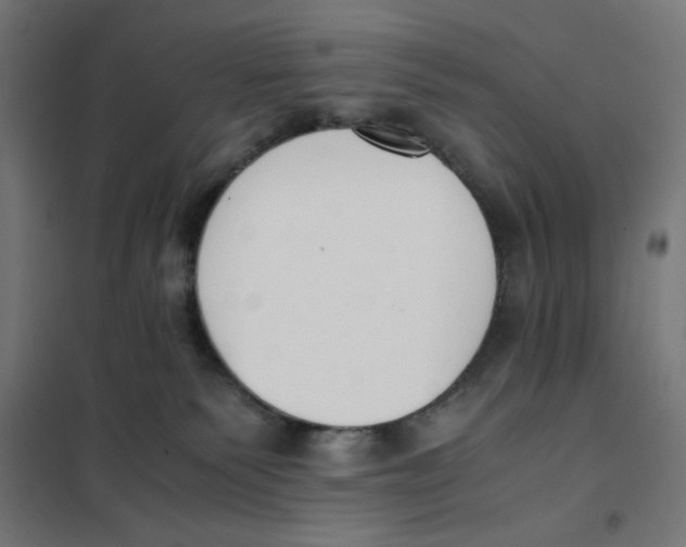 X0000101660135200808071030