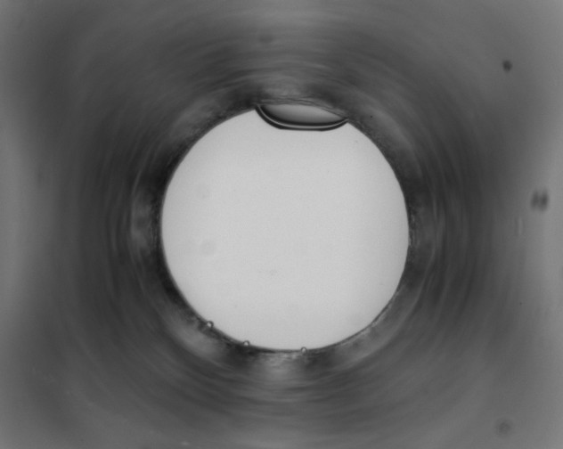 X0000101660136200808071030