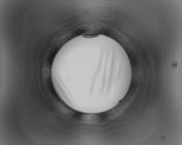 X0000101660137200808071030