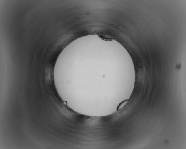 X0000101660138200808071030