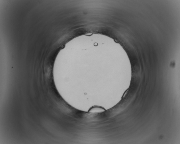 X0000101660139200808071030
