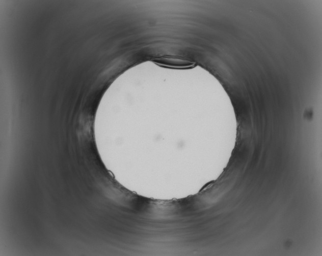 X0000101660141200808071029