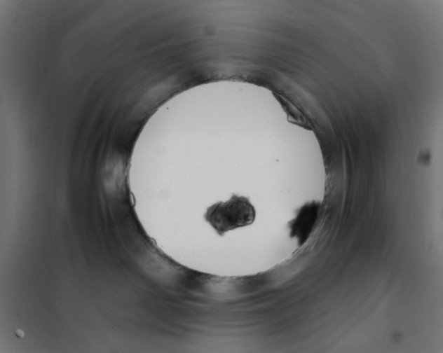 X0000101660142200808071029