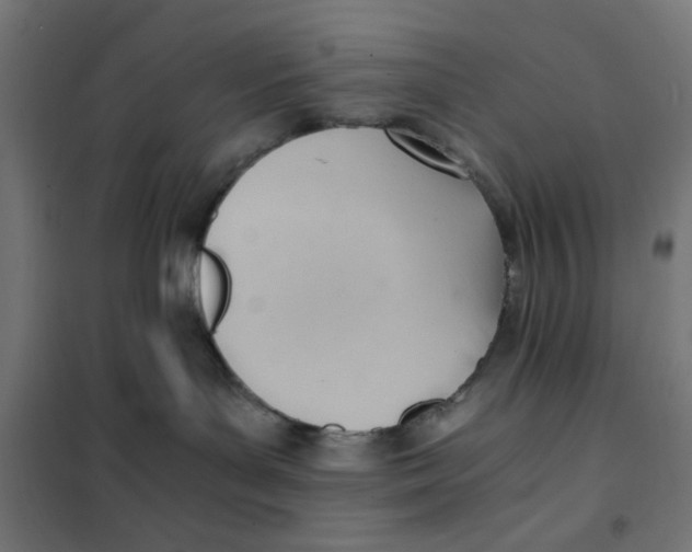 X0000101660143200808071029