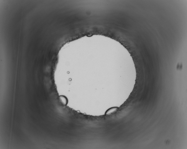 X0000101660144200808071029