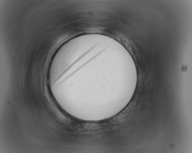 X0000101660145200808071029