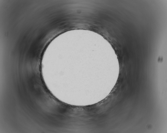 X0000101660146200808071029