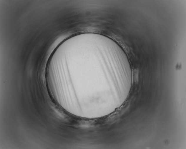 X0000101660147200808071029