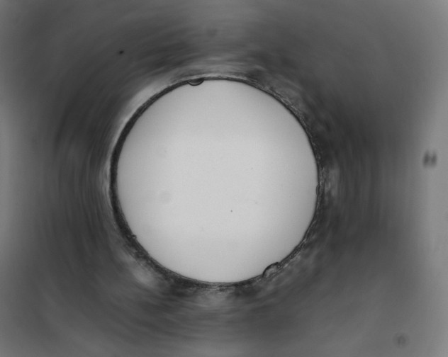 X0000101660148200808071029